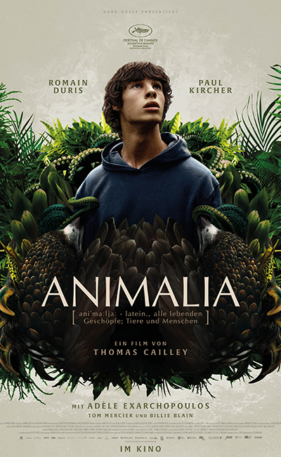 Animalia